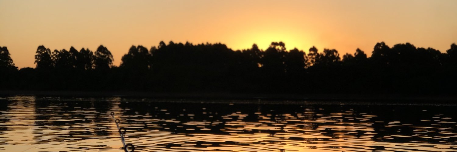 PieriniJorge's profile banner image