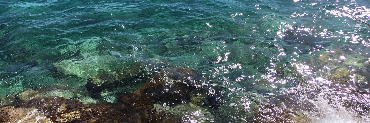 martacentella's profile banner image