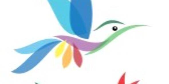 onrigoleplus's profile banner image