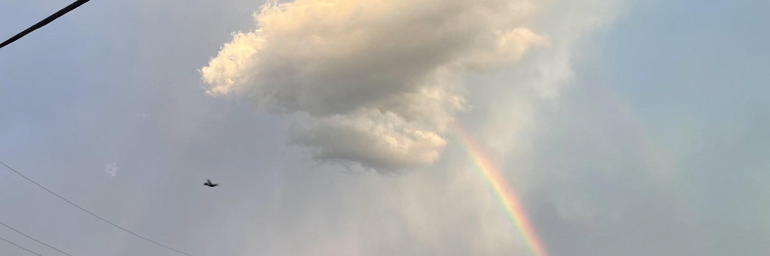 Liz_711's profile banner image