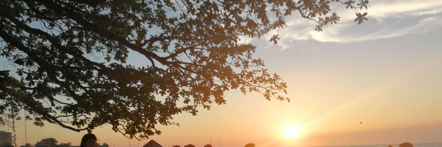 Meehangyoo's profile banner image