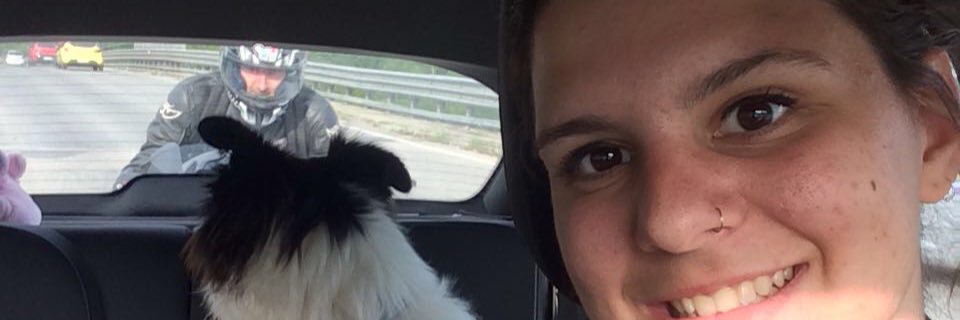 ivanpratesi's profile banner image