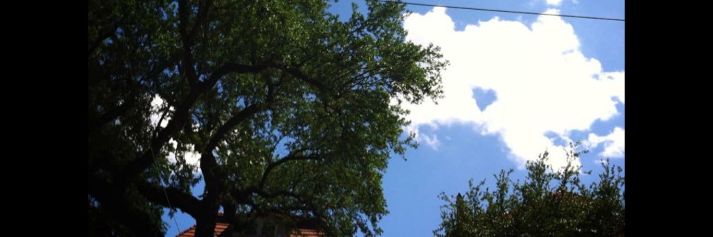 brookescottmcc's profile banner image