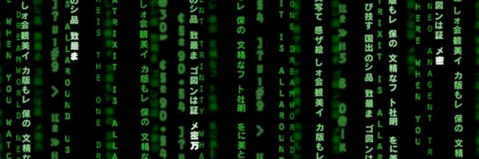 ziny banner
