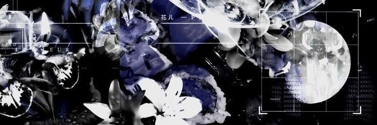 raijndrop's profile banner image