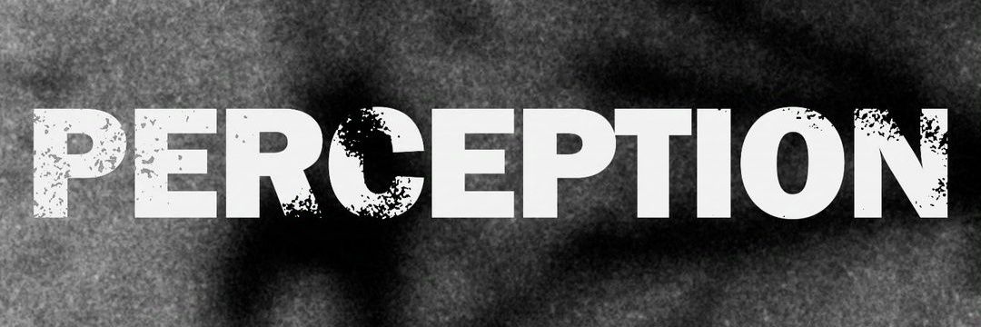 Perception create reality banner