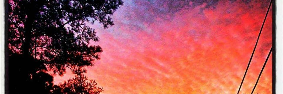 Vicki7771's profile banner image