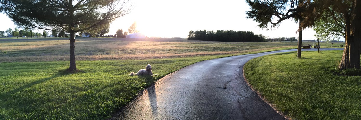 kicks41's profile banner image