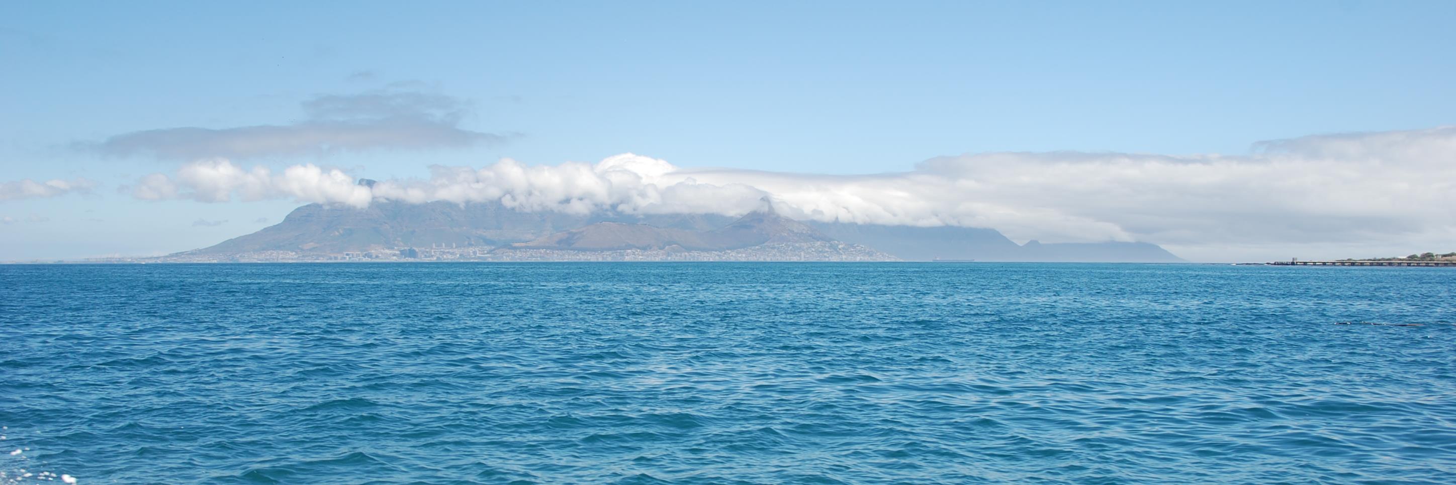 Marketing PRojects banner