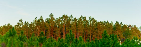 FloridaPLT Profile Banner