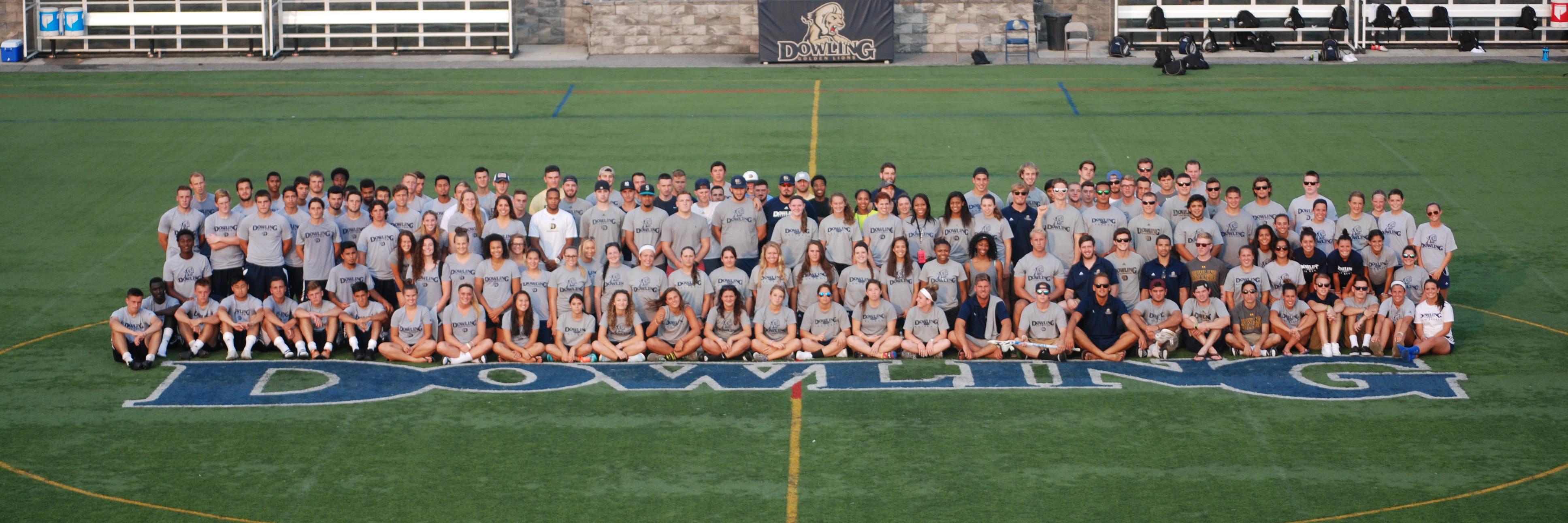 Dowling Athletics banner