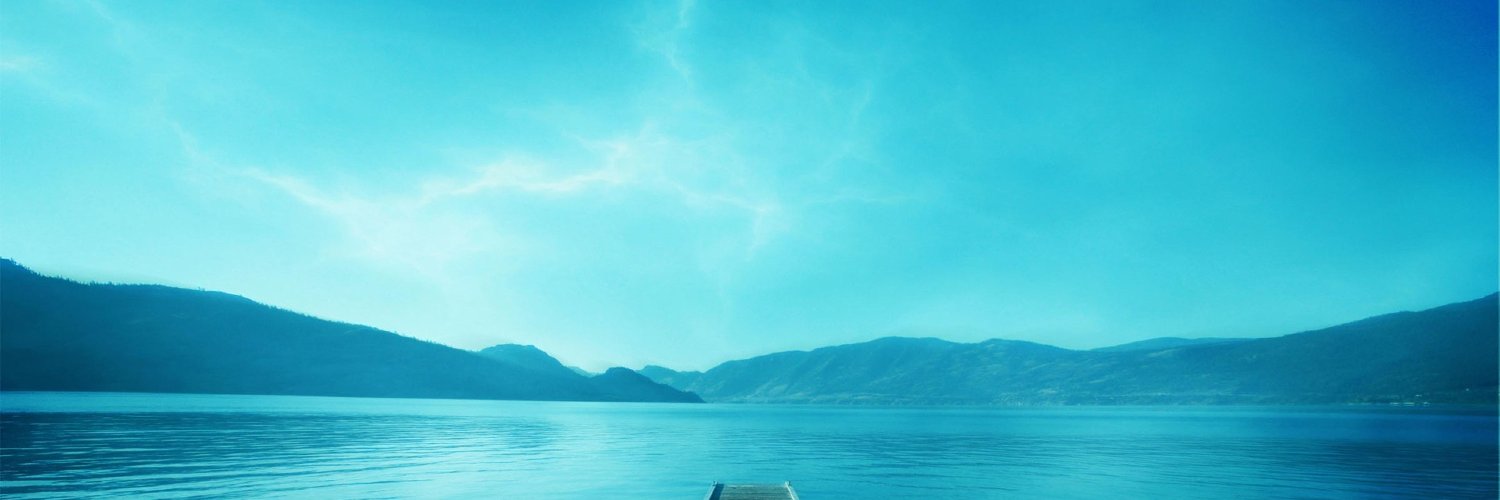 Timur0vic's profile banner image