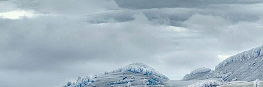 tisalbert's profile banner image