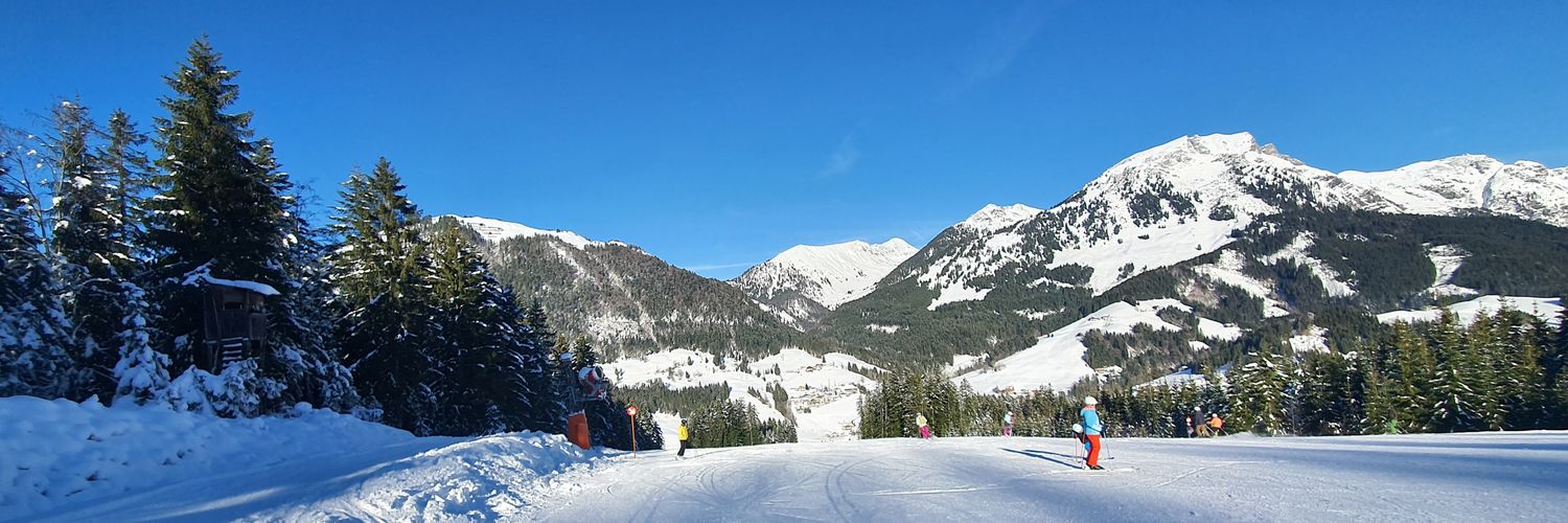 Tyktikern 🇸🇪🎗️ (Finns även IRL) banner