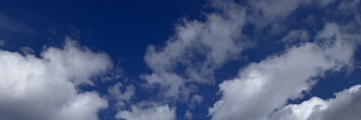 Rae banner