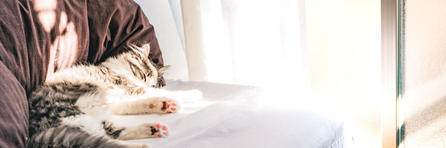 2525o_n's profile banner image