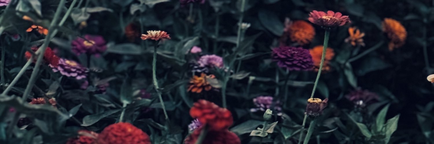 karrienicolee's profile banner image