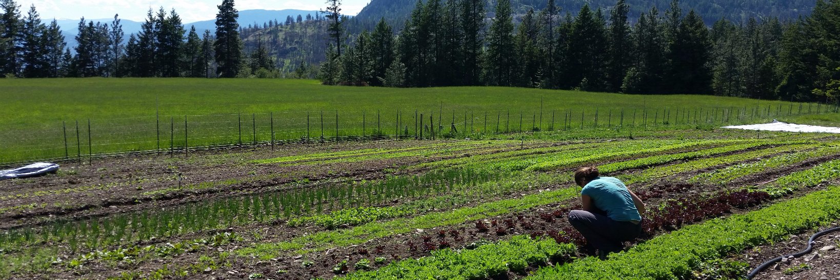 OKhomestead's profile banner image