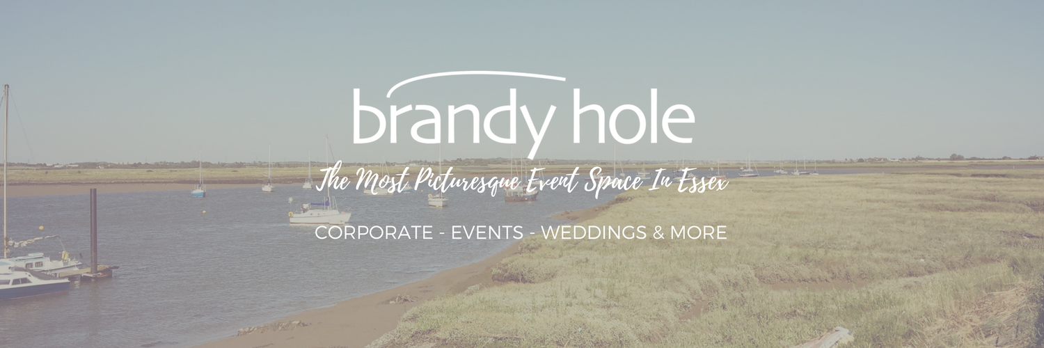 Brandy_Hole's profile banner image