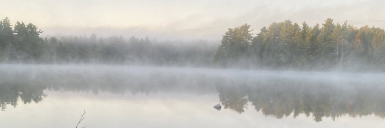 dham82's profile banner image