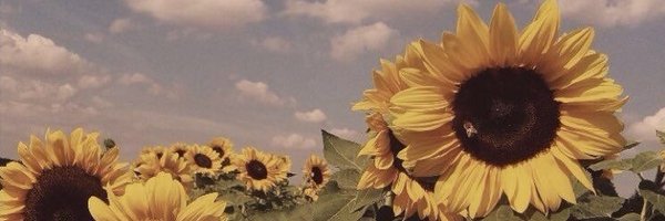 marialegazz Profile Banner