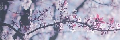 Dunia_CD's profile banner image