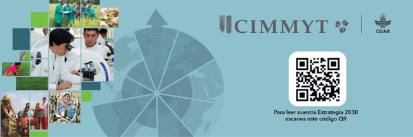 CIMMYTesp Profile Banner