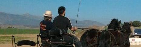 Asociación Estavida banner