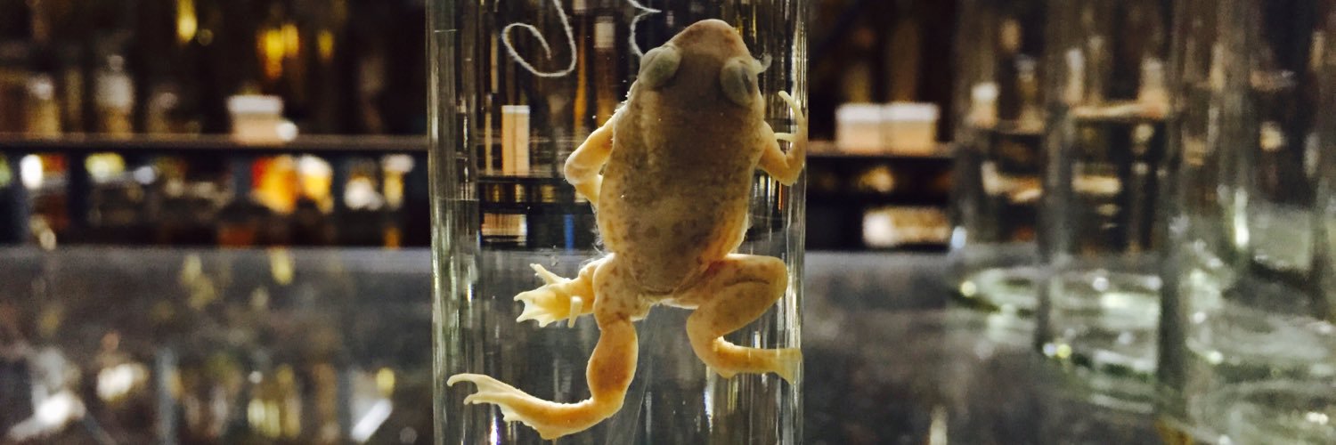 Lasse Foghsgaard banner