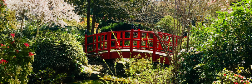 Patrick OLLIER banner