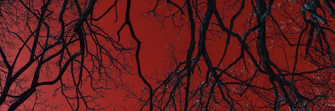 🥀 banner