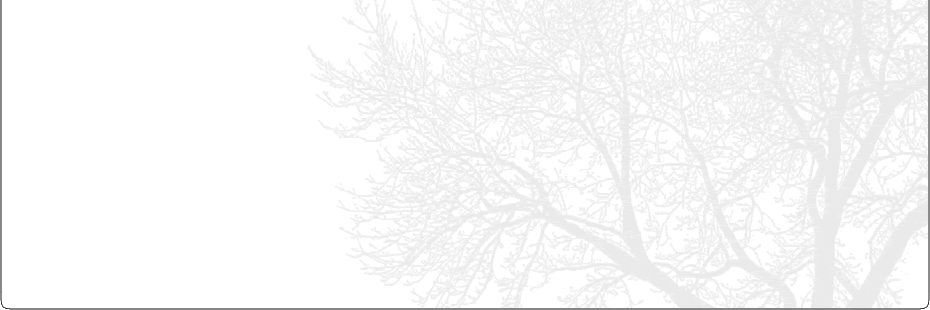 BerkhamstedKJSC's profile banner image