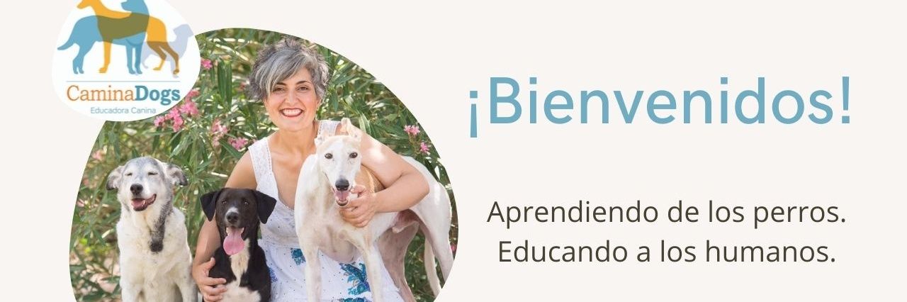 CaminaDogs banner