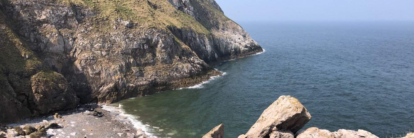 Alex Cunningham banner