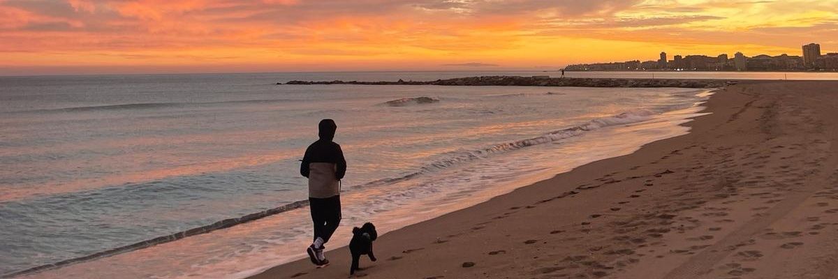 Lassi Siljanto banner