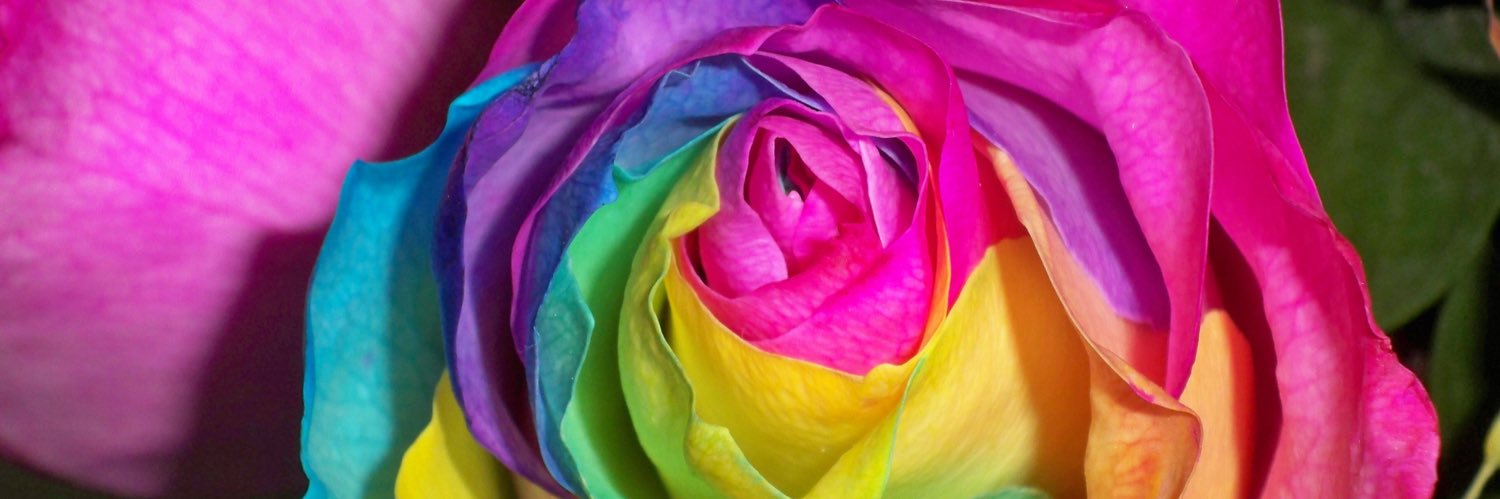 littlev95's profile banner image