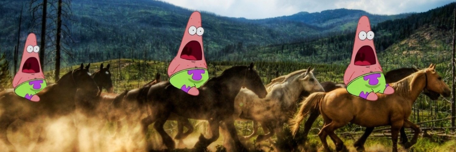 barokosS's profile banner image