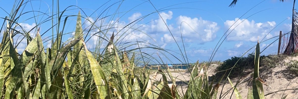 felibird93's profile banner image