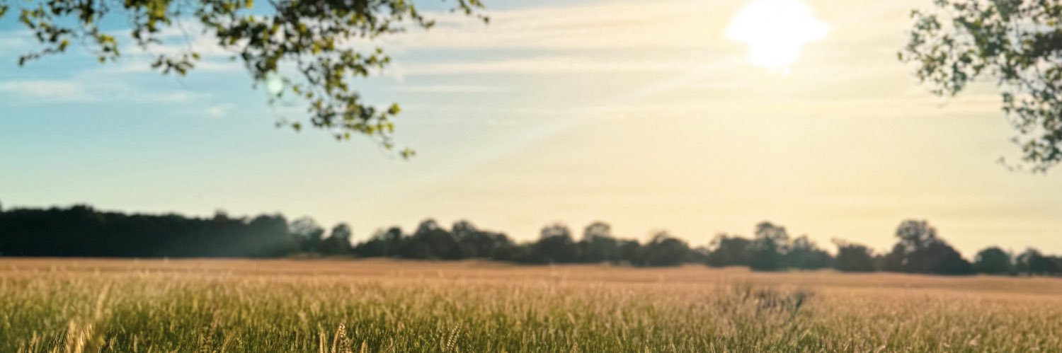AN108_'s profile banner image