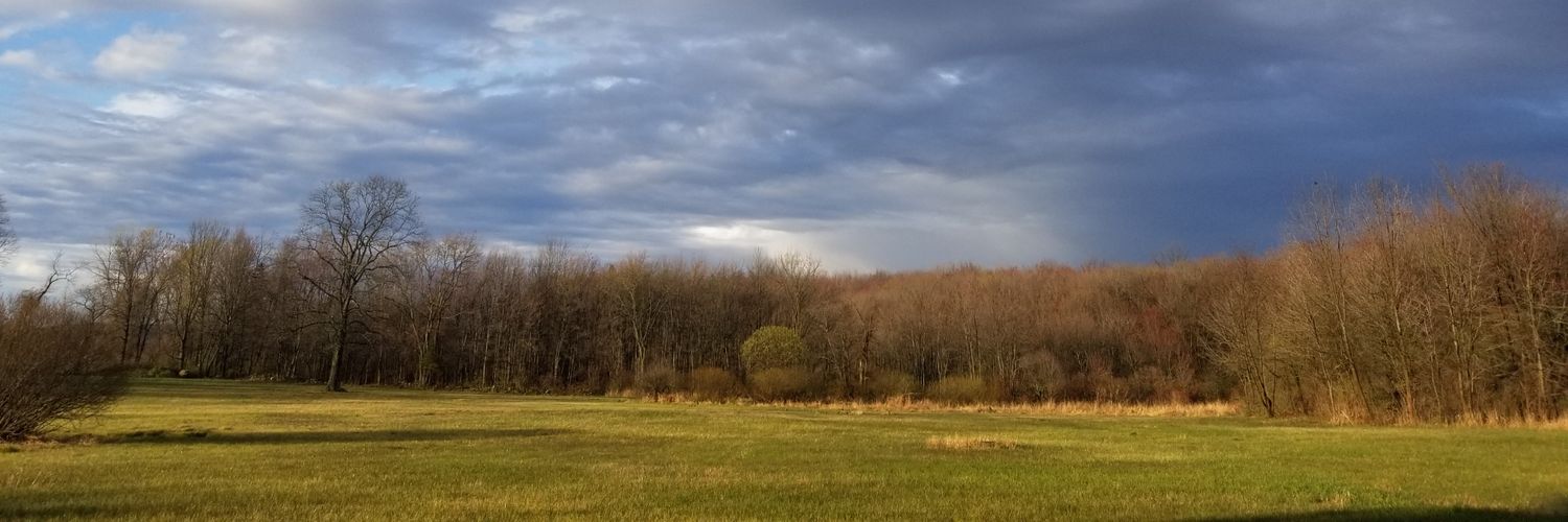 ThanksThankful's profile banner image