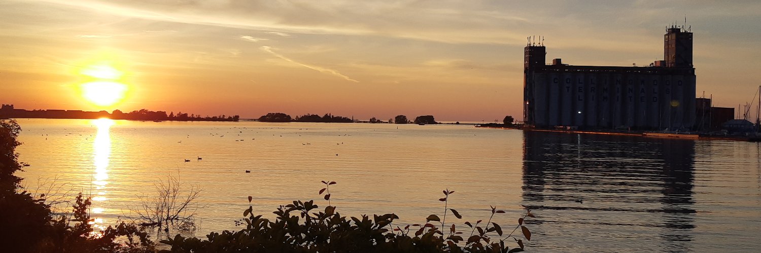 Environment Network banner