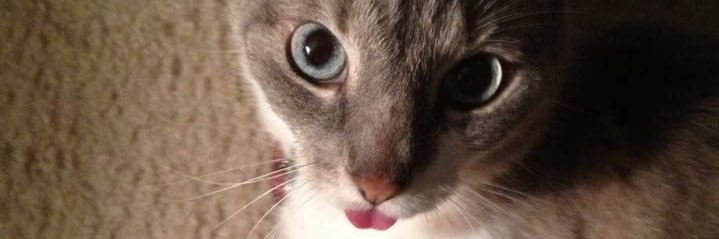 cgriff93's profile banner image