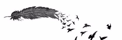 Alex_Poland1D's profile banner image