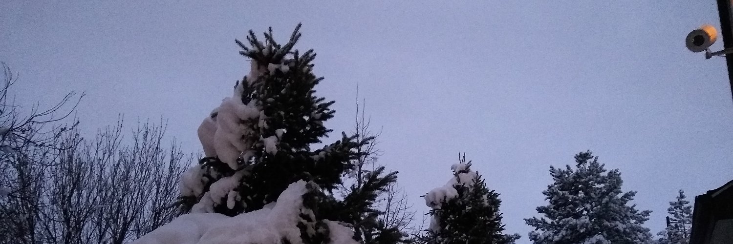 CMCaroCO's profile banner image