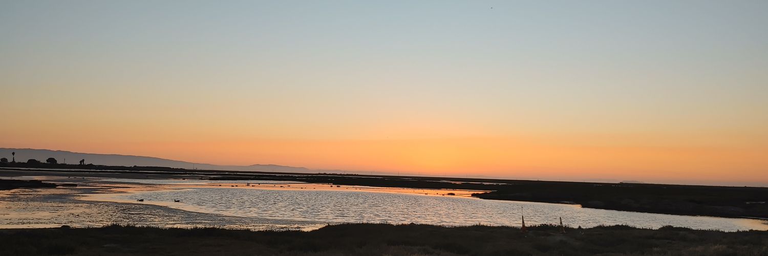 heidiwillie's profile banner image