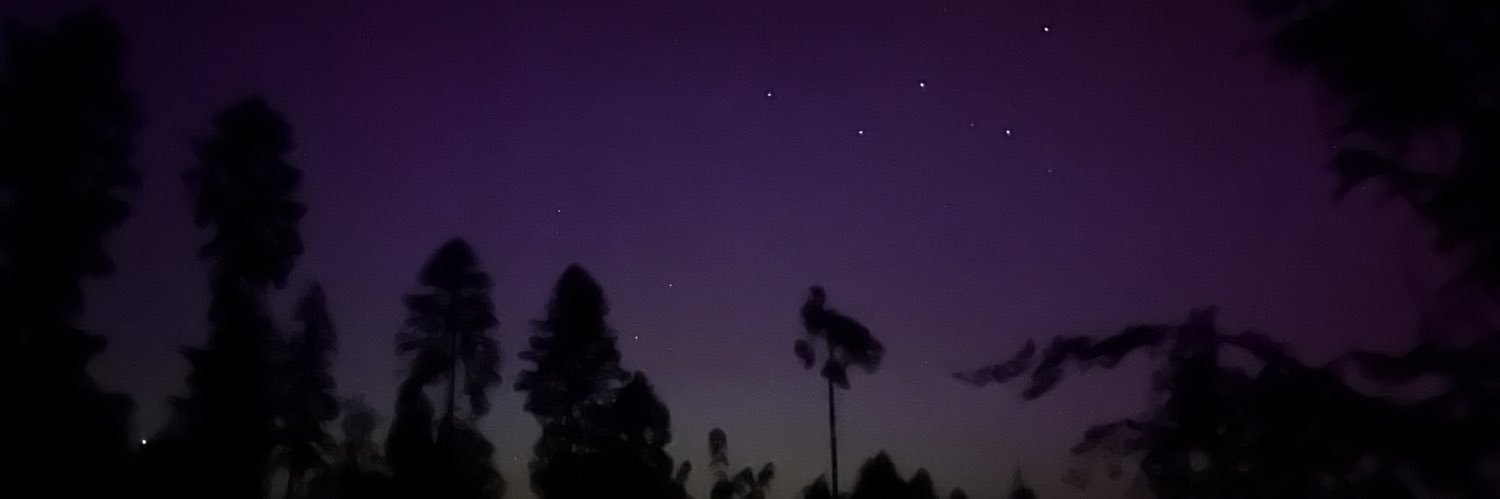 Markus Gaelli banner