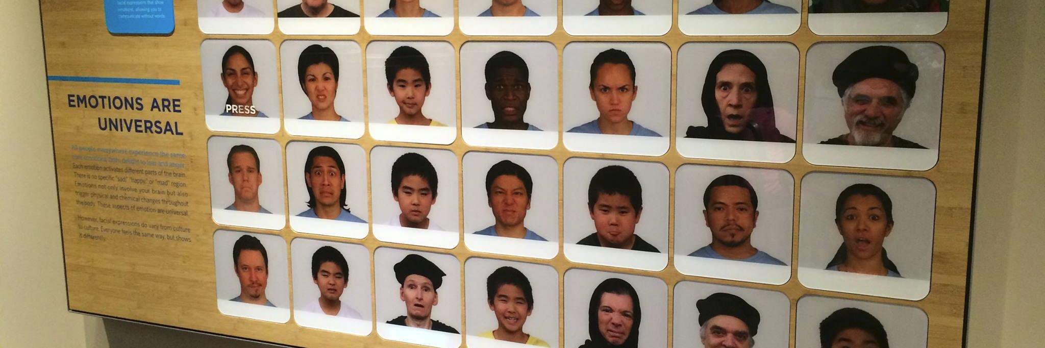 David Matsumoto's banner