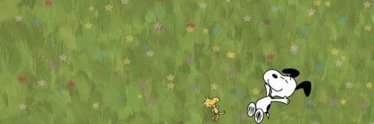 dakota banner