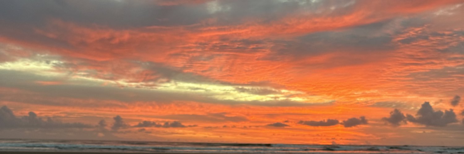 Zimmermmann_'s profile banner image