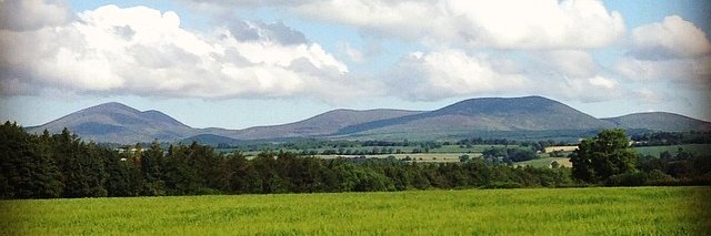 Trisha Ryan banner
